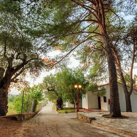 Alykes Park Bungalows Экстерьер фото